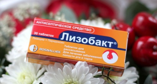 Лизобакт в Нижнем Новгороде